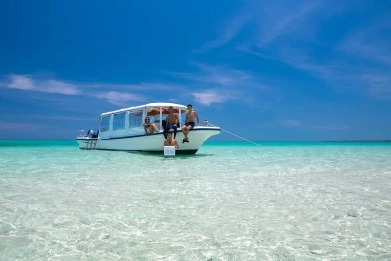 Ishigaki: Mangrove SUP or Canoe & Phantom Island Snorkeling - Introduction: What Makes This Tour Special?  