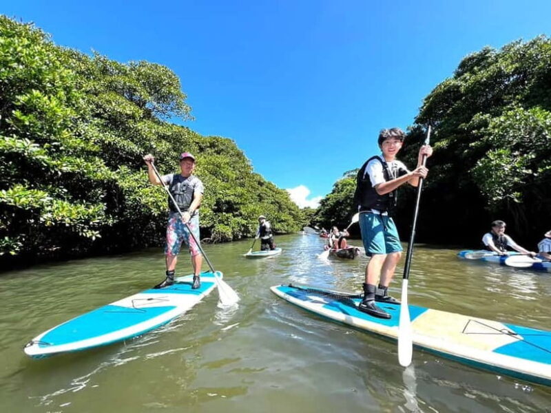 Ishigaki: Mangrove SUP or Canoe Tour Taketomi Sightseeing - Good To Know