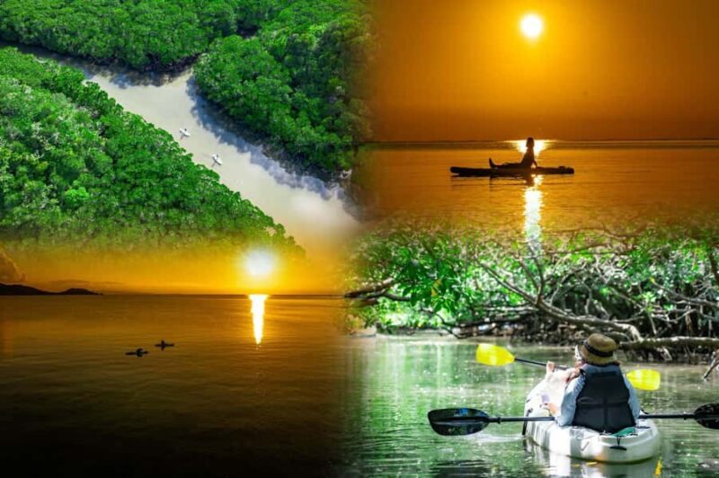 Ishigaki: Mangrove&Sunset Kayak/SUP with Drone & SLR footage - Good To Know