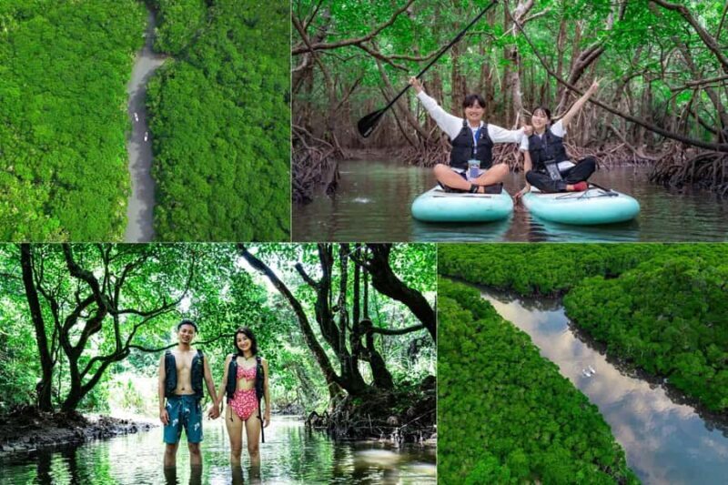 Ishigaki: Mangrove&Sunset Kayak/SUP with Drone & SLR footage - Introduction to the Experience