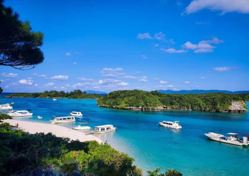 Ishigaki Okinawa: Private Shore Excursion for Cruise Guests - Final Thoughts