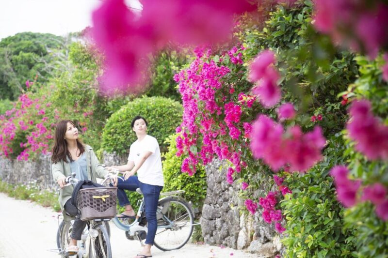 Ishigaki: Phantom Island Snorkeling and Taketomi Sightseeing - Practical Tips for Your Day