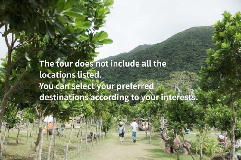 Ishigaki: Private Half-Day Tour with Photographer - Potential Drawbacks and Who Should Consider This
