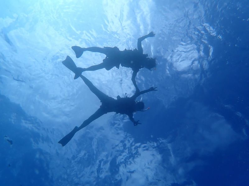 Ishigaki Sea Turtle Snorkel: Small Group/Beginner Friendly - What the three-hour schedule feels like