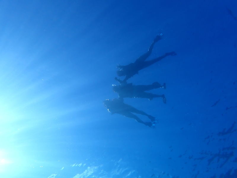 Ishigaki Sea Turtle Snorkel: Small Group/Beginner Friendly - Is US$50.45 good value?