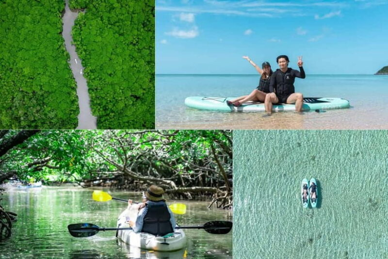 Ishigaki:Mangrove&Sea SUP/Kayak Tour with SLR&Drone footage - Detailed Breakdown of the Experience