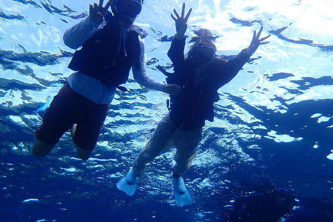 [Ishigaki]Phantom Island Snorkeling Taketomi Island Sightseeing - Activity Details