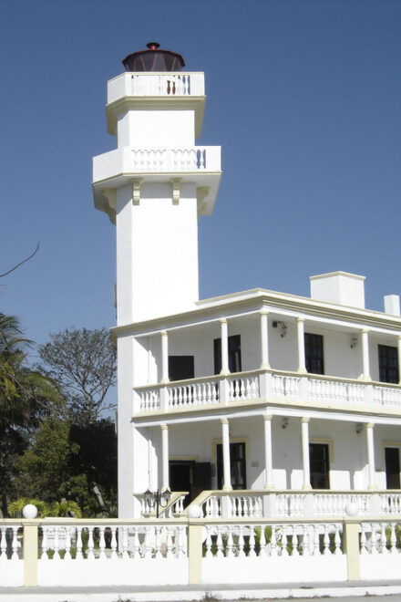 Isla Aguada: Flight of the Bird and the Smile of the Dolphin - Experience Highlights