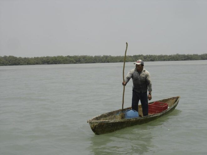 Isla Aguada: Flight of the Bird and the Smile of the Dolphin - Important Notes