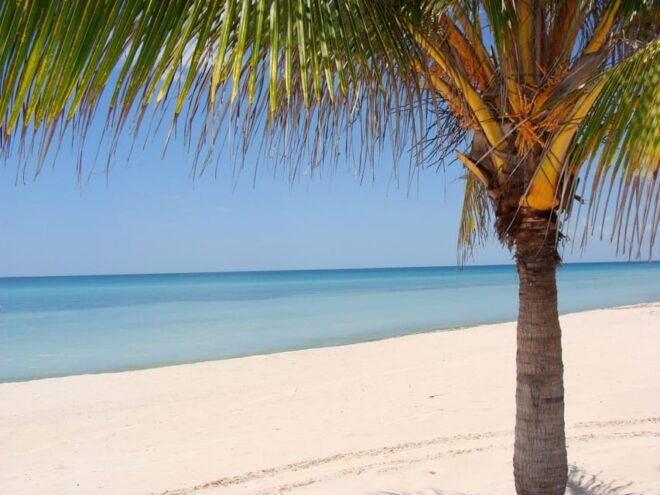 Isla Aguada: Flight of the Bird and the Smile of the Dolphin - Scenic Boat Ride
