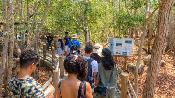 Isla Barú: Beach Club Access and Tour of the National Aviary - Frequently Asked Questions