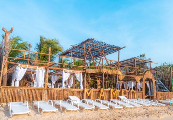 Isla Barú: Beach Club Access and Tour of the National Aviary - The Sum Up