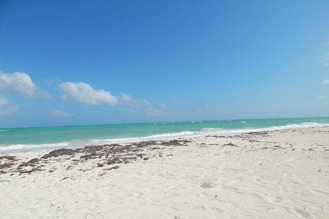 Isla Blanca wildlife expedition private bike & boat tour cancun mexico - The Sum Up