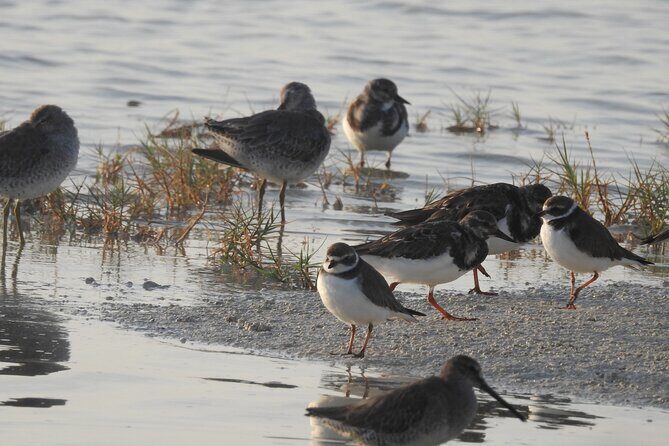 Isla Blanca wildlife expedition private bike & boat tour cancun mexico - FAQ
