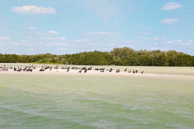 Isla Columpios and Progreso Day Trip - The Sum Up