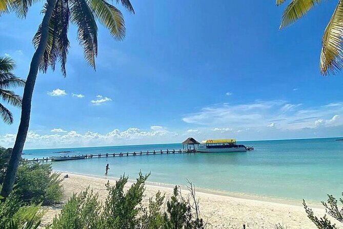 Isla Contoy Adventure Tour & Isla Mujeres from Playa del Carmen - The Itinerary Breakdown: What to Expect