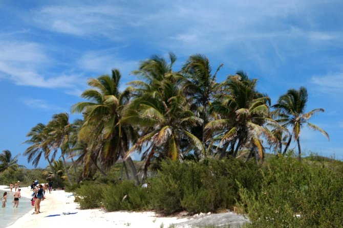 Isla Contoy and Isla Mujeres Tour With Snorkeling From Cancun - Tour Overview and Logistics