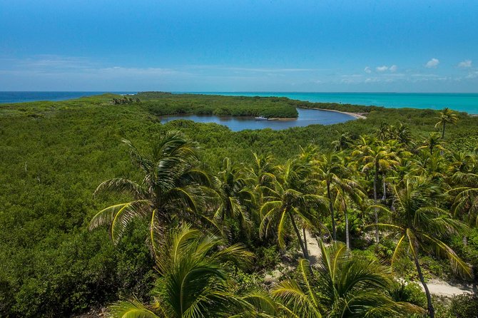 Isla Contoy and Isla Mujeres Tour With Snorkeling From Cancun - Tour Experience and Reviews