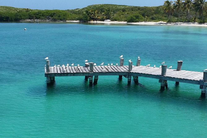 Isla Contoy and Isla Mujeres Tour With Snorkeling From Cancun - Common Questions