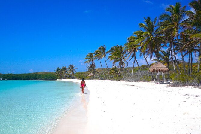 Isla Contoy and Isla Mujeres with All Inclusive Snorkeling - Final Thoughts