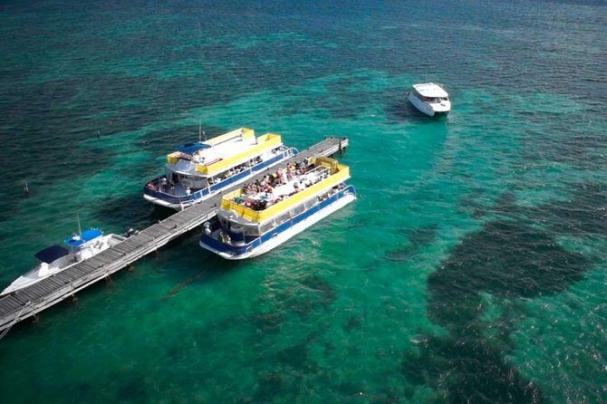 Isla Contoy! Explore a Bird Sanctuary from Cancun - Good To Know