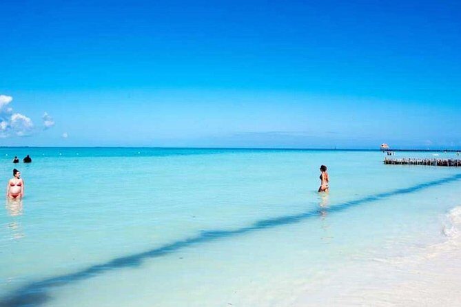 Isla Contoy! Explore a Bird Sanctuary from Cancun - An In-Depth Look at the Isla Contoy Tour