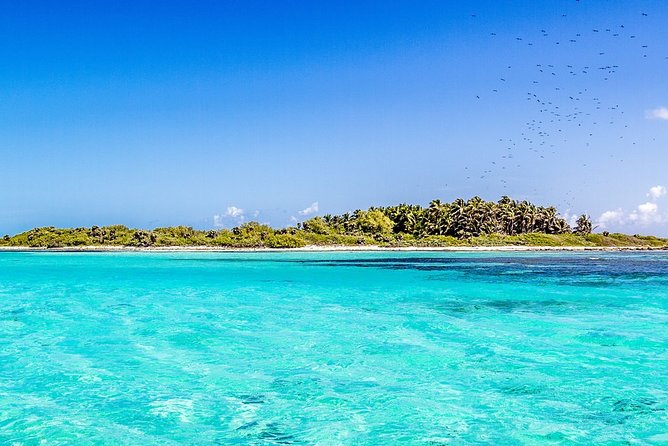 Isla Contoy Incredible Tour! Round Transportation From Cancun & Playa Del Carmen - Pricing and Operator Information