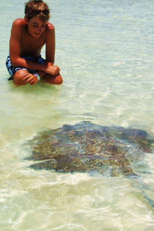 Isla Contoy Natural Paradise - Good To Know