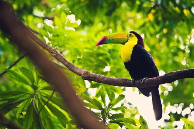 Isla Contoy Natural Paradise - Additional Fees and Information