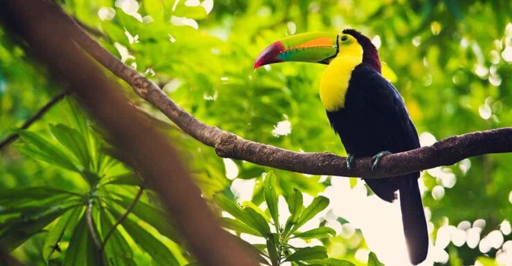Isla Contoy Natural Paradise - Good To Know