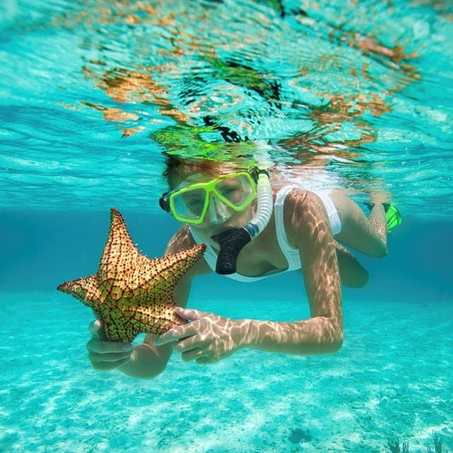 Isla Contoy Natural Paradise - Booking and Availability
