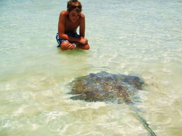 Isla Contoy Natural Paradise - Exploring Pristine Beaches