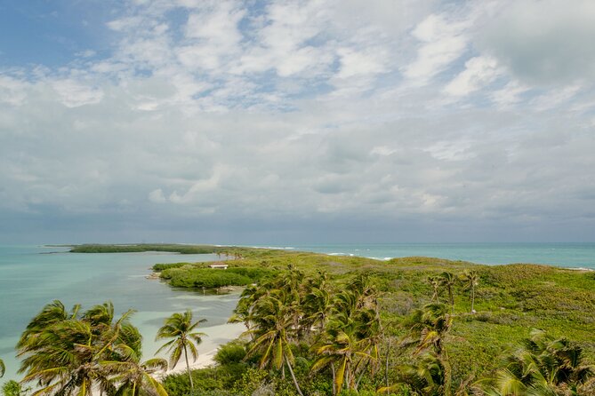 Isla Contoy Private Day Tour, From Cancun - Relax on the White-Sand Beach and Enjoy a Grilled Lunch