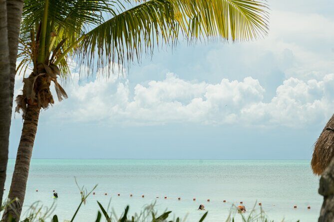 Isla Contoy Snorkeling Experience with Buffet - An In-Depth Look at the Isla Contoy Snorkeling Tour