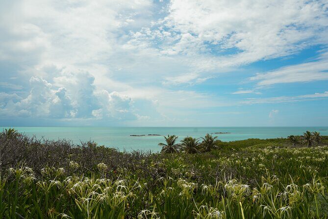Isla Contoy Snorkeling Experience with Buffet - Final Thoughts: Is This Tour Worth It?