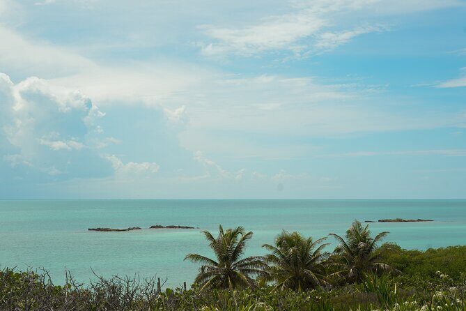 Isla Contoy Snorkeling Experience with Buffet - Who Would Love This Tour?