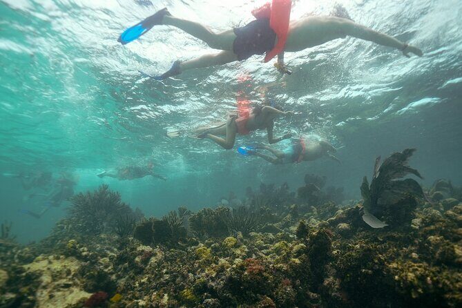 Isla Contoy Snorkeling Experience with Buffet - FAQ