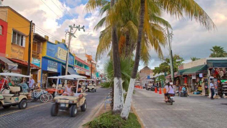 Isla Contoy - Activity Details
