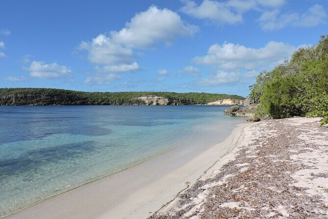 Isla de Vieques Beach Hopper Sightseeing Tour - Introducing the Isla de Vieques Beach Hopper Sightseeing Tour