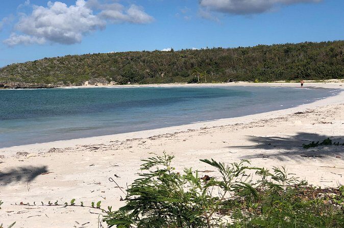 Isla de Vieques Beach Hopper Sightseeing Tour - Who Would Love This Tour?