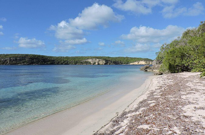 Isla de Vieques Beach Hopper Sightseeing Tour - Who Might Find This Less Ideal?