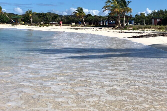 Isla de Vieques Beach Hopper Sightseeing Tour - Final Thoughts on the Isla de Vieques Beach Hopper Sightseeing Tour