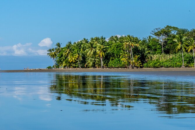 Isla Del Caño Snorkeling Tour From Uvita - Tour Details