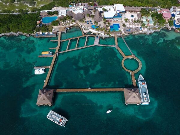 ISLA DISCOVERY - Frequently Asked Questions