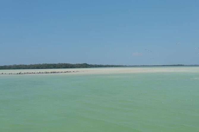 Isla Holbox Day Tour from Cancun with Lunch Included - FAQs