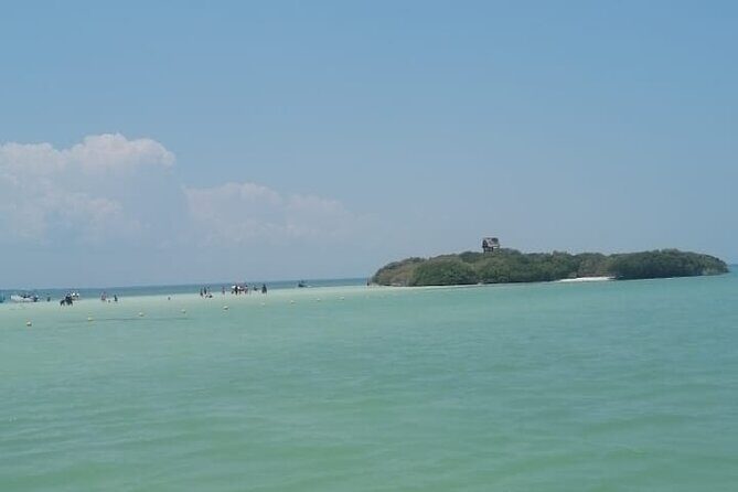 Isla Holbox Day Tour from Cancun with Lunch Included - The Sum Up