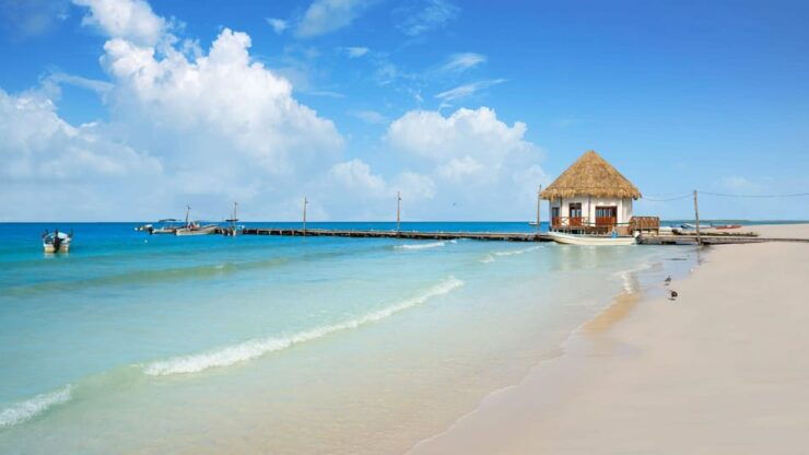 Isla Holbox & Isla Pasión: Guided Boat Tour - Good To Know