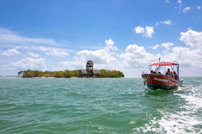Isla Holbox & Isla Pasión: Guided Boat Tour - Important Information