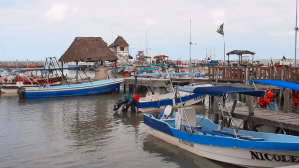 Isla Holbox & Isla Pasión: Guided Boat Tour - Customer Reviews