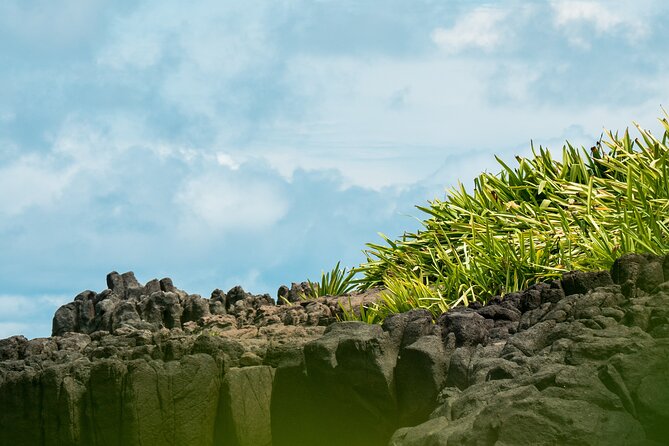 Isla Iguana Experience - Reviews
